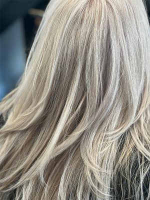 01_0003_mona-salon-04